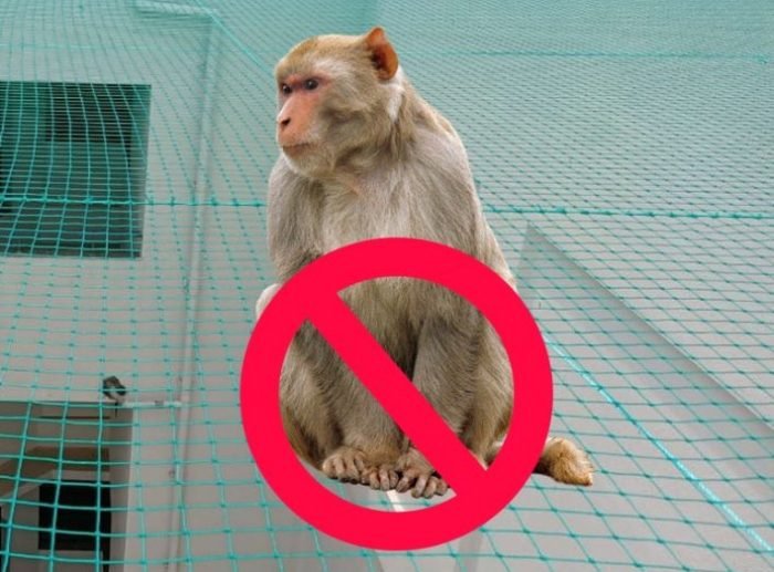 xr:d:DAFZUcgPL_M:7,j:46213433701,t:23020109